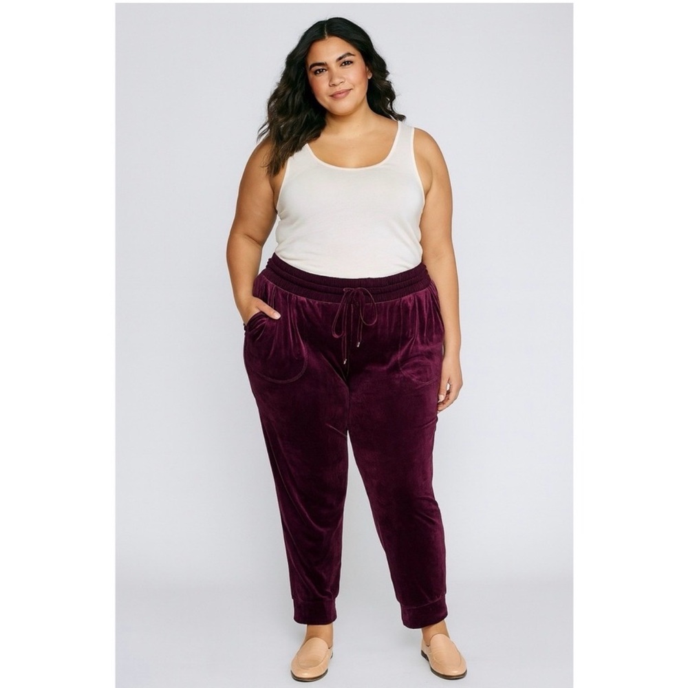 Torrid Velvet Jogger Pants in Rich Burgundy